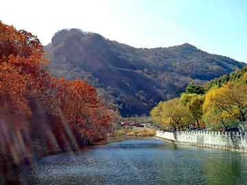 新澳天天开奖资料大全旅游团，虾壳粉